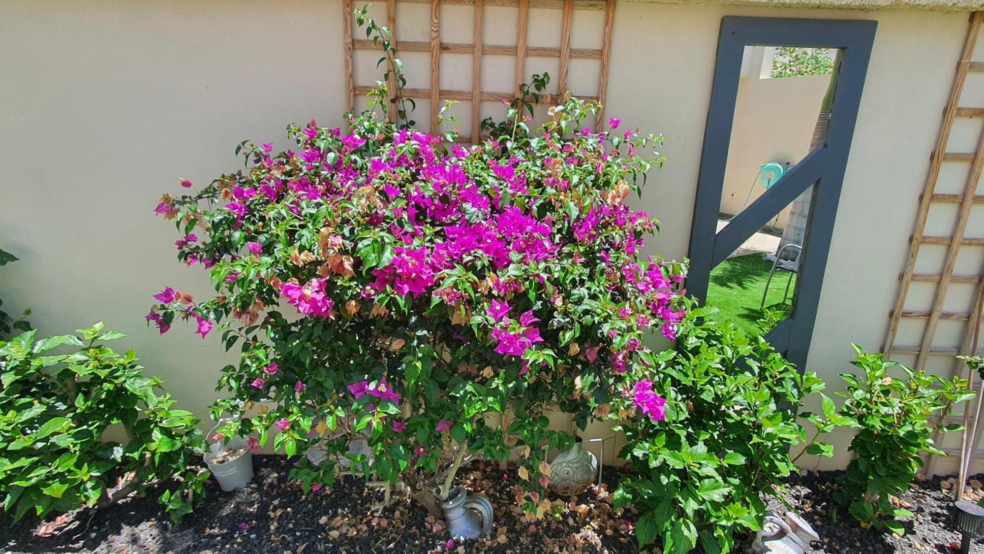 4-bedroom Corales With Jacuzzi, Garden, Close To Everything Villa *
